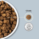 Dog food kibble shown next to a quarter for size comparison on a light gray background
