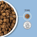 Dog food kibble shown next to a quarter to indicate size