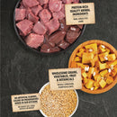 Dishes of raw lamb, whole sorghum, pumpkin, and oats with labels on a dark surface