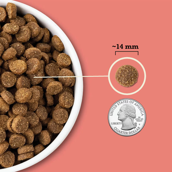 Dog food kibble in a bowl with a quarter for scale on a pink background