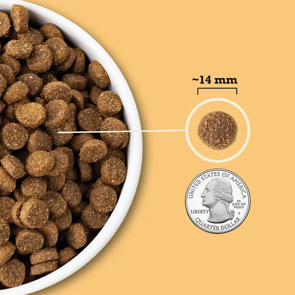 Dog food kibble in a bowl with a quarter for scale on a yellow background