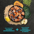 Salmon pieces in a bowl surrounded by grains, vegetables, and fruit on a dark surface.