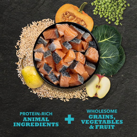 Salmon pieces in a bowl surrounded by grains, vegetables, and fruit on a dark surface.