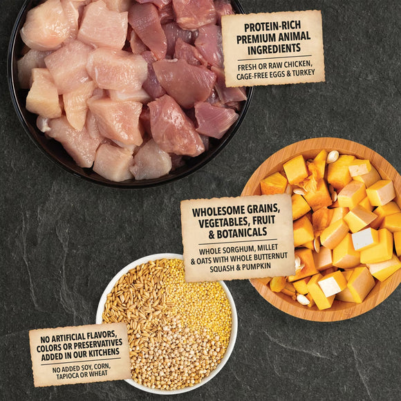 Raw chicken pieces, grains, vegetables, and fruits on a dark surface with labels indicating ingredients.