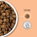 Dog food kibble shown next to a quarter for size comparison on a peach background