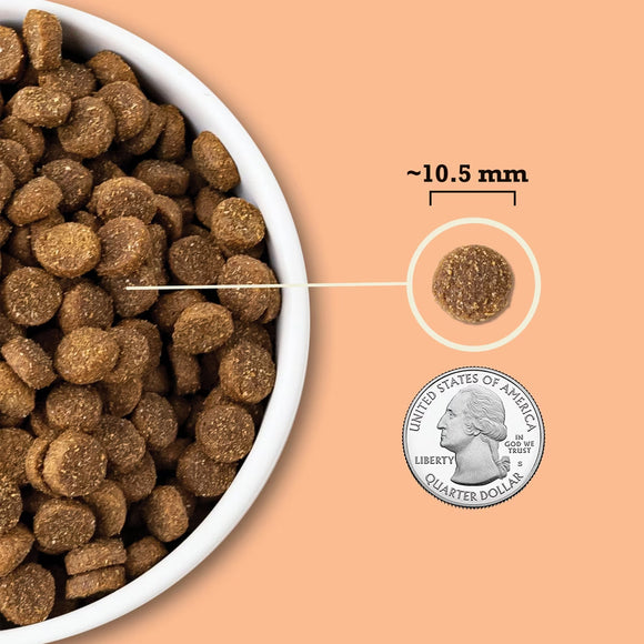 Dog food kibble shown next to a quarter for size comparison on a peach background