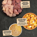 Raw chicken pieces, grains, vegetables, and squash on a dark surface with labels detailing ingredients.
