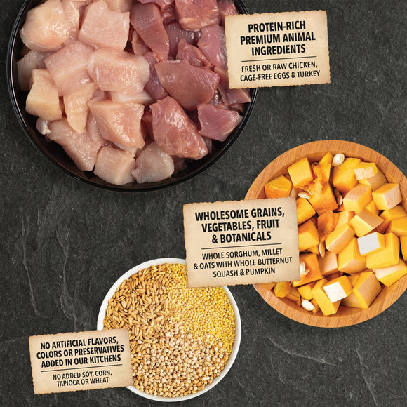 Raw chicken pieces, grains, vegetables, and squash on a dark surface with labels detailing ingredients.