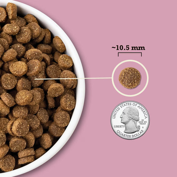 Dog food kibble shown next to a quarter on a pink background