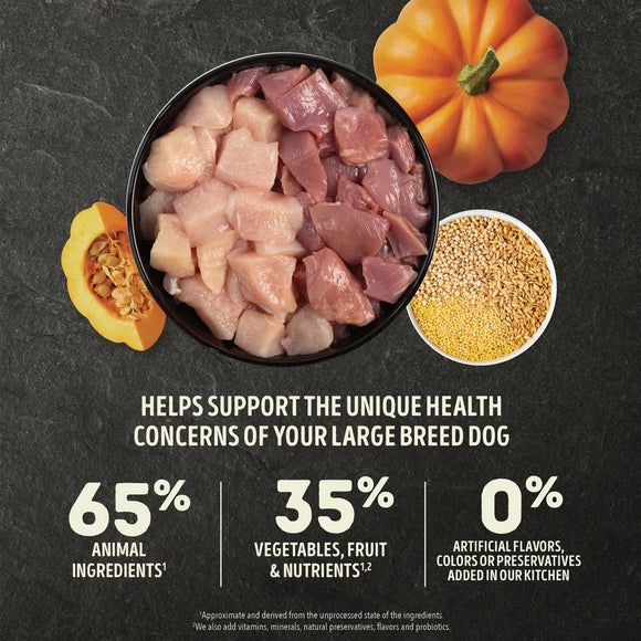 Dog food ingredients with pumpkins and text on a dark background