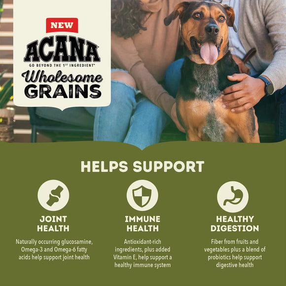 Dog being petted by a person with text about Acana Wholesome Grains benefits on a green background