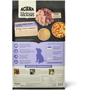 Acana Wholesome Grains Large Breed Puppy Recipe dog food packaging on a white background