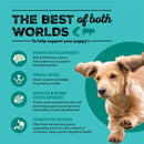 Dog food product advertisement with text and images of a dog on a teal background