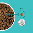 Dog food kibble shown next to a quarter to indicate size