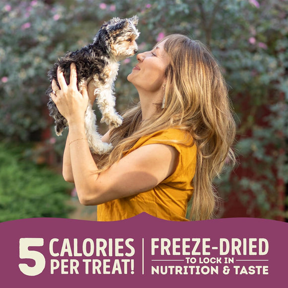 Woman holding a small dog outdoors with promotional text about freeze-dried treats.