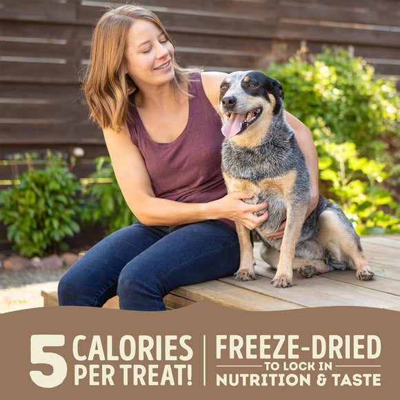 Woman sitting on a wooden deck with a dog, promoting freeze-dried pet treats.
