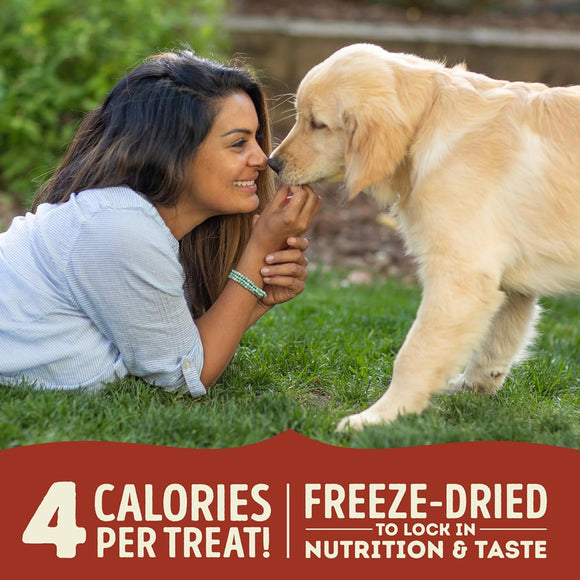 Woman lying on grass with a dog, with text about freeze-dried treats.