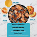 Ingredients for a pet food recipe including salmon, pumpkin, honey, and bone broth on a marble background.
