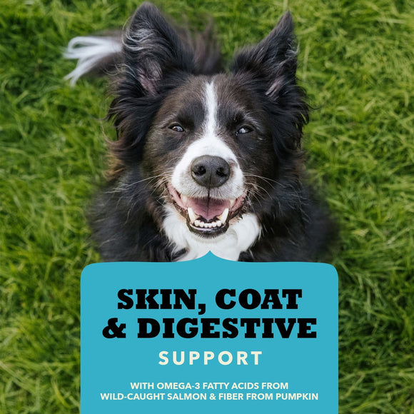 Dog on grass with a supplement label about skin, coat, and digestive support.
