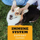 Dog lying on grass with a product label for immune system support in the foreground