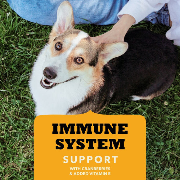 Dog lying on grass with a product label for immune system support in the foreground