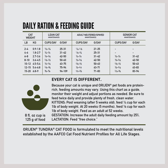 Daily ration and feeding guide for cats by ORIJEN pet foods on a white background.