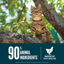 Cat perched on a tree branch with a label about animal ingredients and diet.