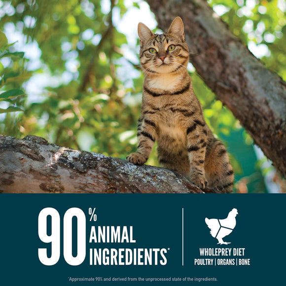 Cat perched on a tree branch with a label about animal ingredients and diet.