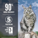 Cat on a log with text about pet food ingredients on a blue sky background