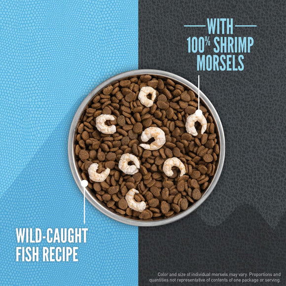 Dog food bowl with brown kibble and shrimp morsels on a blue and gray background