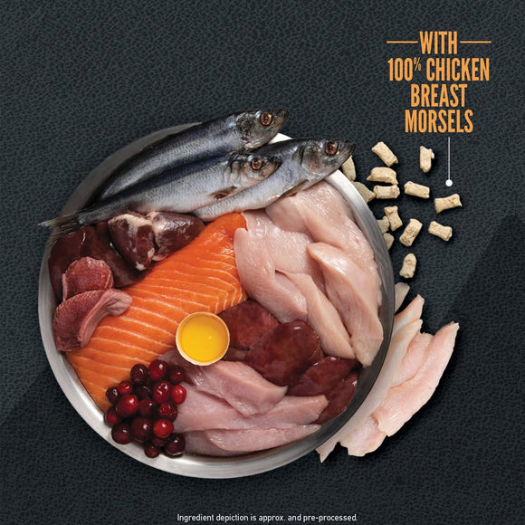 Assorted raw meats including fish, chicken, and beef on a dark background with text about chicken breast morsels.