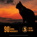 Silhouette of a cat against a sunset sky with text about pet food ingredients.