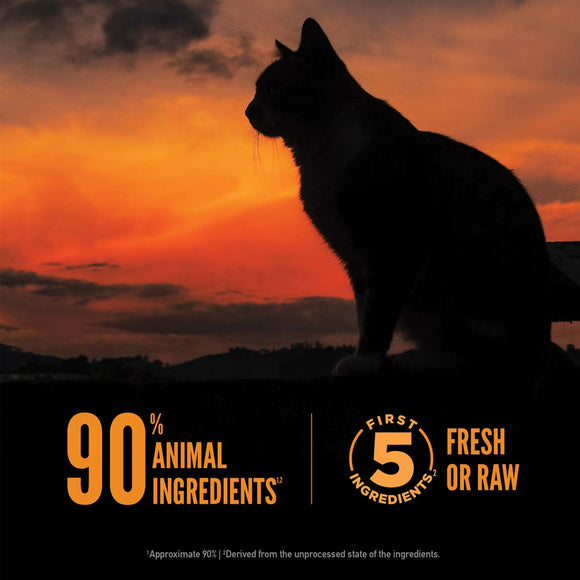 Silhouette of a cat against a sunset sky with text about pet food ingredients.