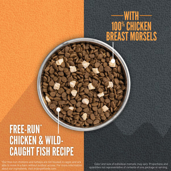 Dog food bowl with dog food and chicken breast morsels on an orange and black background