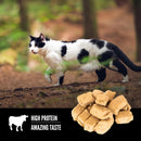 ORIJEN Regional Red Grain-Free High-Protein Raw Animal Ingredients Freeze Dried Cat Treats, 1.25-oz bag