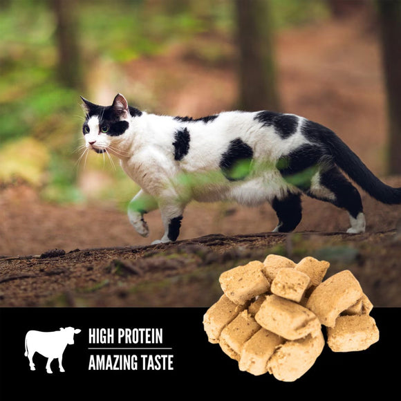 ORIJEN Regional Red Grain-Free High-Protein Raw Animal Ingredients Freeze Dried Cat Treats, 1.25-oz bag