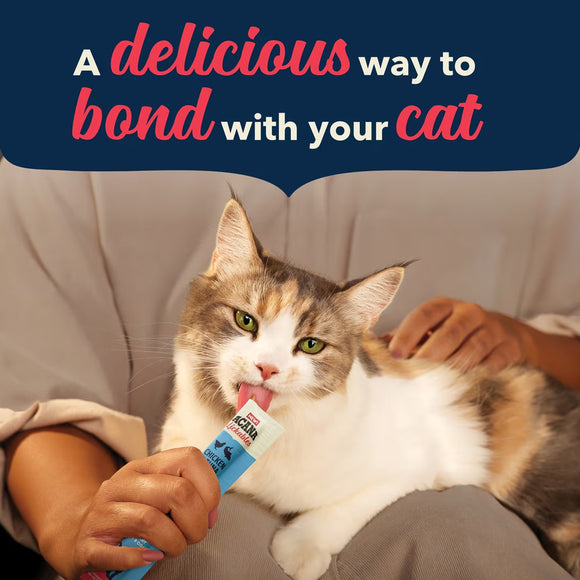 Cat being fed a treat with text 'A delicious way to bond with your cat' on a blue background