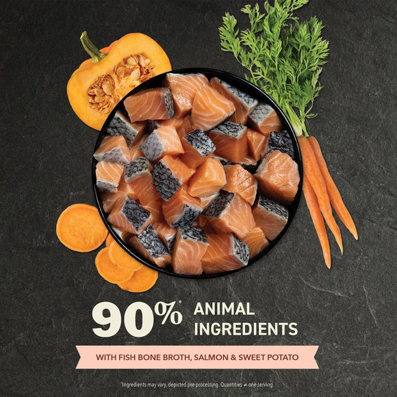 Dog food with salmon, sweet potato, and pumpkin on a dark background