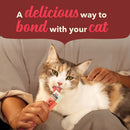Cat being held by a person with a product, text 'A delicious way to bond with your cat' on a red background