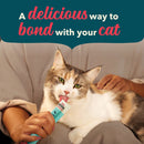 Cat being petted by a person with text 'A delicious way to bond with your cat' on a teal background
