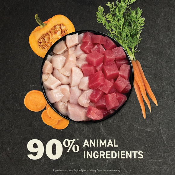 Dog food ingredients including meat, vegetables, and a pumpkin on a dark background with text '90% Animal Ingredients'.