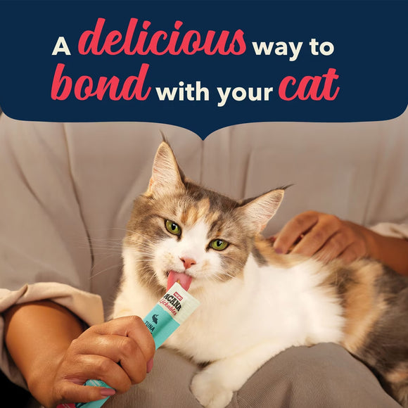 Cat being fed with a treat, text 'A delicious way to bond with your cat' above