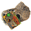 Zoo Med Aqualog Fish Shelter on a white background