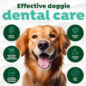 TropiClean Fresh Breath Total Care Dental Kit for Dogs