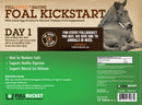 Fullbucket Foal Kick Start Paste (single tube)-2