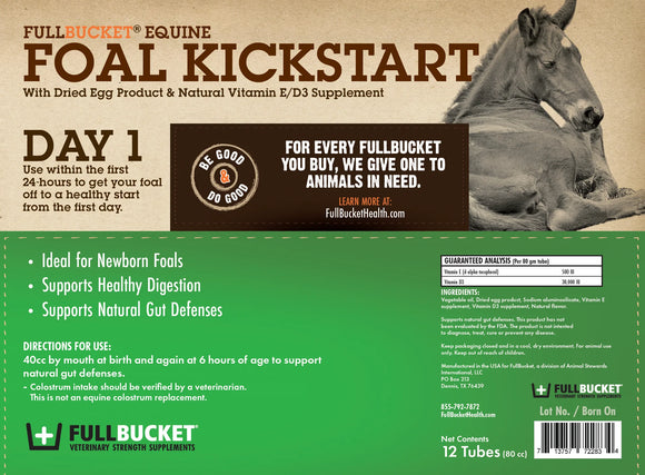 Fullbucket Foal Kick Start Paste (single tube)