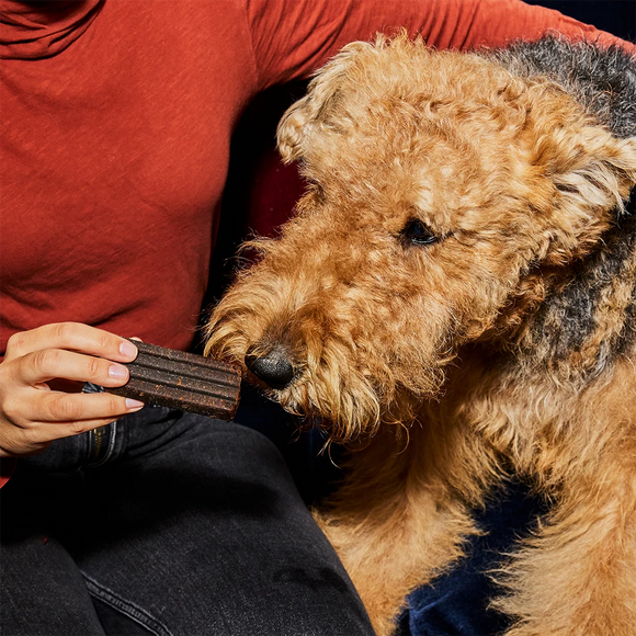 Diggin Your Dog Firm Up Pumpkin Bars Digestive Aid for Dogs & Cats