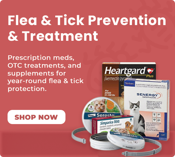 Flea and tick prevention 9c0ae663 07e6 4dea ba23 66015143ce76