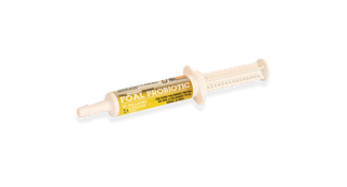 Fullbucket Foal Probiotic Paste (single tube)