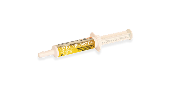 Fullbucket Foal Probiotic Paste (10 tube)